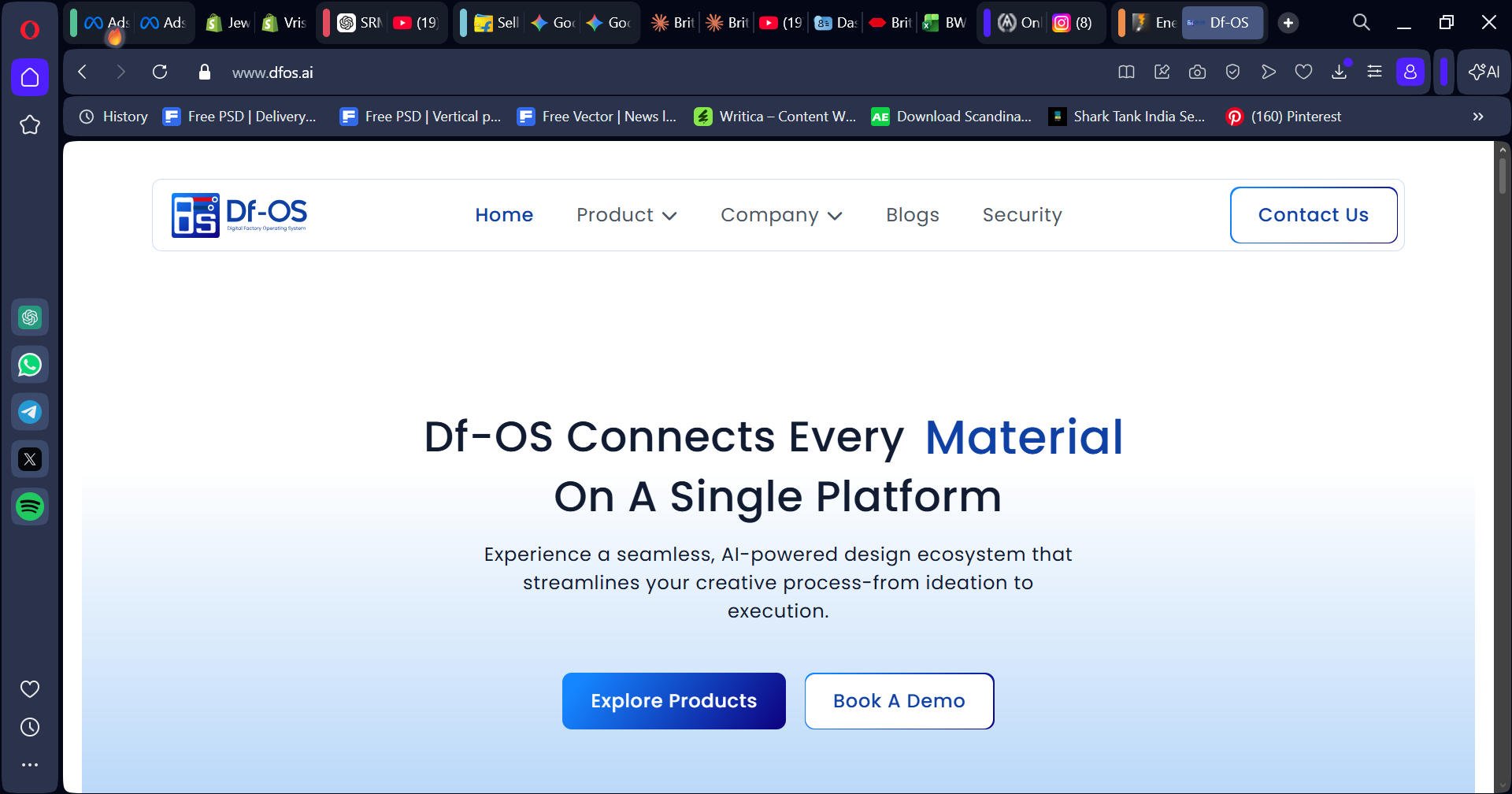 Df-OS Brand Identity